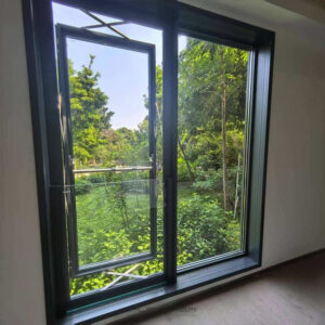 Parallel Opening Window/Door - Cửa đẩy song song